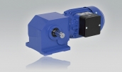 Three-Phase Geared Motor ODG 534 with Worm-Spur Gear Unit Z 45