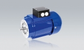 Three-Phase Motors VD 734 T