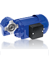 Three-Phase Geared Motors