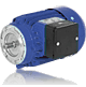 Three-Phase Motors